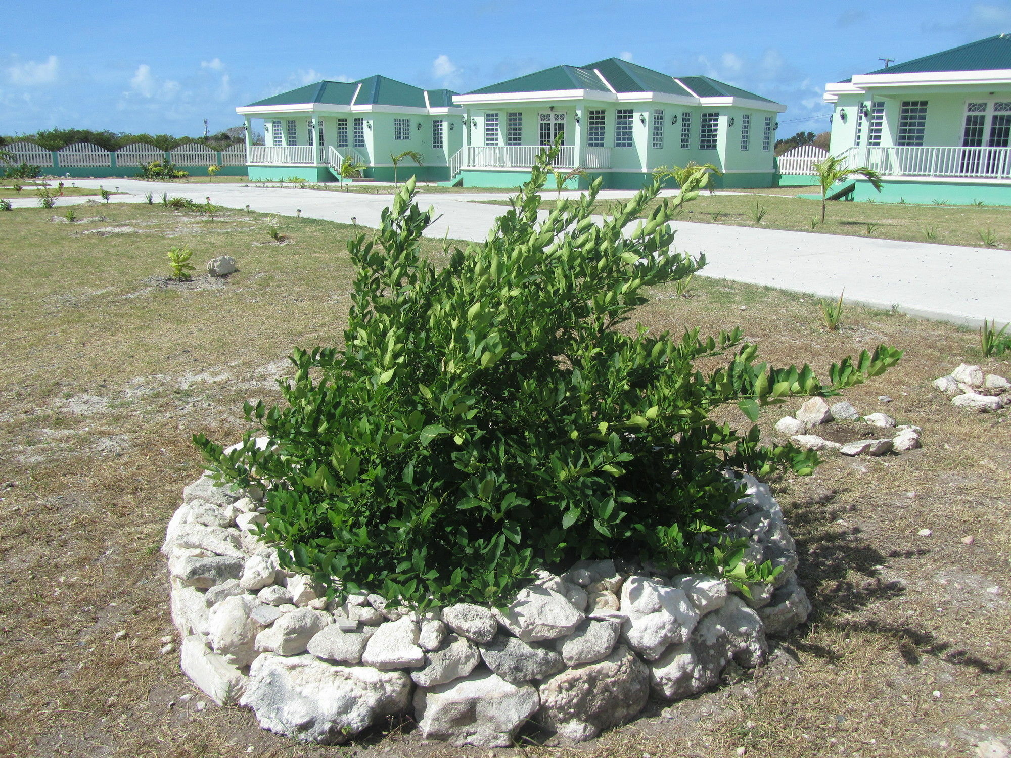 Sea Grape Villas The Settlement Exterior photo